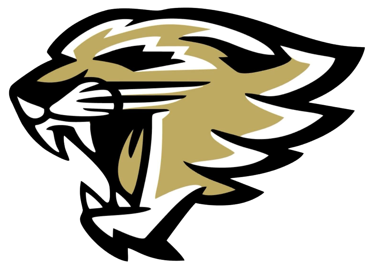 Meigs Wildcat.